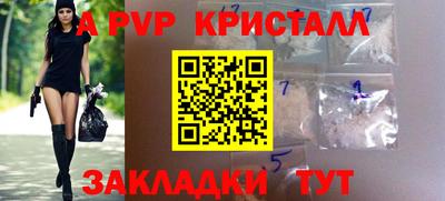 шишки Будённовск
