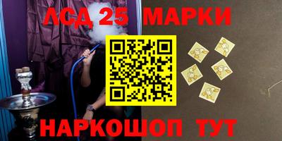 шишки Будённовск