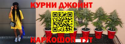 шишки Будённовск